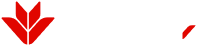 vpbank